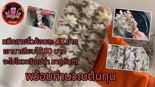 หมึกสายจิ๋วไม้ละ 10 บาท พร้อมคำนวณต้นทุน#ปลาหมึกย่าง #อาหารทะเล#อาชีพ #รายได้เสริม #ของอร่อย#มือใหม่