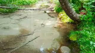 Strange Water Spring in Norway