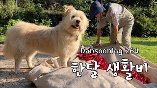 SUB 단순로그264 1인 귀촌 생활자 한 달 생활비 공개.vlog