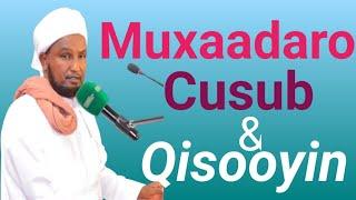 MUXAADARO CUSUB & QISOOYIN CAJIIB AH SHEEKH XUSEEN CALI JABUUTI