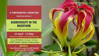 Exhibition Opening: Biodiversity in the Backyard