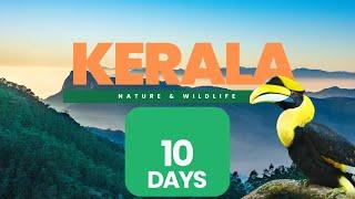 Kerala Nature & Wildlife Travel Itinerary  2024  I Best Kerala Travel Plan