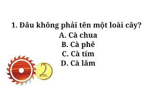 Những câu đố vui hay nhất có đáp án phần 1 | Đố vui có đáp án