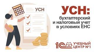 УСН: бухгалтерский и налоговый учет в условиях ЕНС