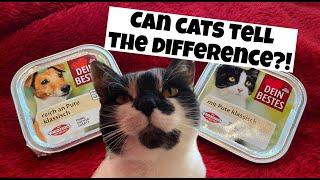 CAT FOOD vs DOG FOOD - Can cats tell THE DIFFERENCE?