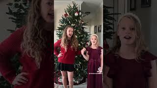 “Sisters” from White Christmas - TBHB Cover