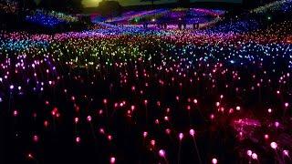 Field of Lights