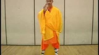 Meditative Exercises of Shaolin Martial Arts : Standing Buddhist Meditation