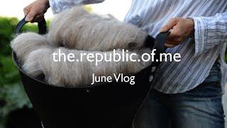 June VLOG / Road trip to Akamas Peninsula & Portobello Mouse fiber and yarn