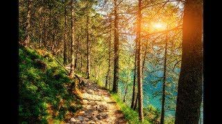 GOOD MORNING MUSIC 528Hz  Positive Energy  Have The Best Day - Morning Meditation music