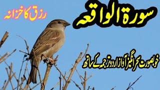 surah waqiah heart touching recitaion with urdu translation   by 786 cuisine