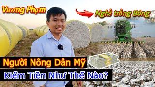 Vương Phạm || Người Nông Dân Mỹ Kiếm Tiền Như Thế Nào?