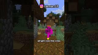 Minecraft Has Failed Me