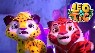 Leo and Tig  2 hour compilation  Funny Family Good Animated Cartoon for Kids