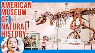 American Museum of Natural History (Dinosaurs)