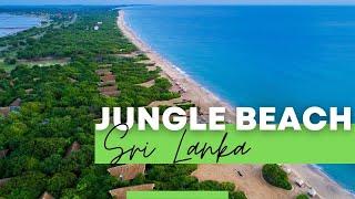 JUNGLE BEACH SRI LANKA – Resort by Uga Escapes, Where the jungle meets the beach