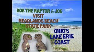 Headlands Beach State Park Mentor, Ohio Places to Visit in Cleveland Tourism Bob the Raptor & Joe