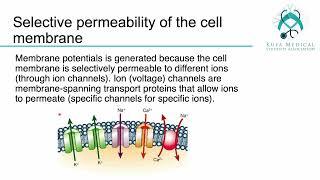 Membrane and Receptors Session 3 -Lecture 1\By KMSA