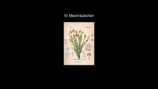 Fabian Müller: «Klingendes Herbarium» – Kammersymphonie für (Schubert-)Oktett-Besetzung