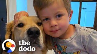 This Dog Is So Loyal, He Checks Up On Toddler Every Night | The Dodo Soulmates