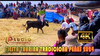 4K/ FIESTA TAURINA TRADICIONAL PEÑAS PROV. LOS ANDES 2024