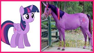 My Little Pony All Characters IN REAL LIFE @WANAPlus