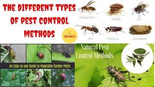 What are the Different Types of Pest Control Methods