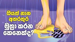 ඔබට හිතකර නරක පුරුදු 10ක් | Bad Habits That Are Actually Good For You