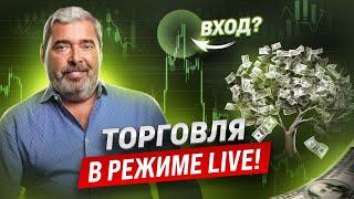 Живая трансляция Summer Trading Camp 2023