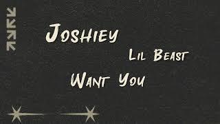 Joshiey, Lil Beast - Want You (Official Lyric Video)