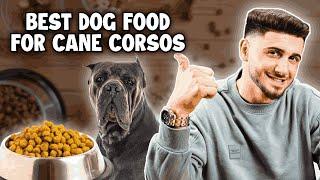 Cane Corso: The Best Dog Food For Your Dog