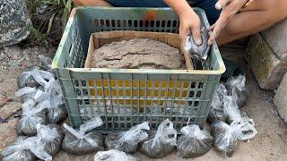 Flower pots Craft // Great Way To Make Cement pots At Home From Plastic Basket