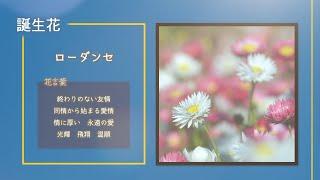 【今日は何の日？】2月13日まとめ、苗字制定記念日、豊臣秀吉が千利休を京都から追放、異端審問のためガリレオ・ガリレイがローマに到着、360年に渡る「フェルマーの最終定理」がついに証明