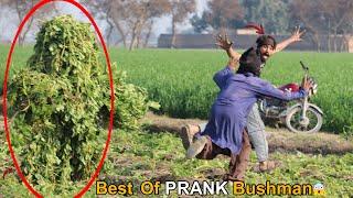 TOO Funniest BUSHMAN PRANK Great Reaction !! Best Hilarious Video Ever