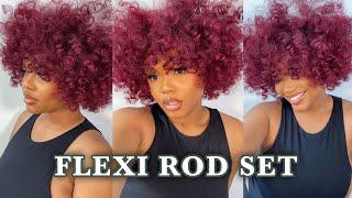 HOW TO: Quick & Easy FLEXI ROD SET on DRY HAIR! | NATURAL HAIR (4a/3c)