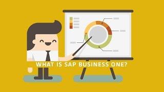 What is SAP Business One? - A Complete, Affordable Solution for Your Small Business