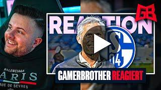 GamerBrother Reagiert auf den NEUEN SCHALKE TRAINER von Calcio Berlin 