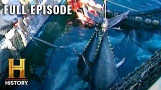 Modern Marvels: Catching MASSIVE Fish (S10, E65) | Full Episode