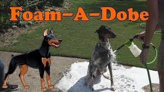 This is how I give my Doberman Pincher a bath with the new Foam-A-Dobe