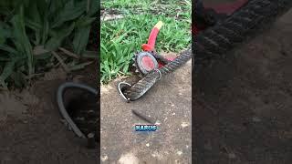 Perangkap Ular Liar Langsung Wajib Ketangkap #animaltrap #animals #birdtrap