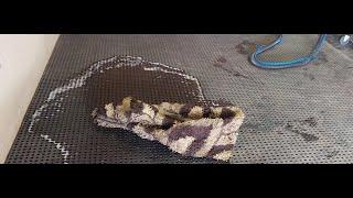 rug brushing asmr. carpet cleaning satisfying mattress or sofa cleaning