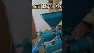 Mini Rice Mill - Efficient and Affordable Rice Processing Machine