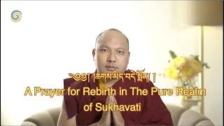 Karmapa Chants -  A Prayer for Rebirth in The Pure Realm of Sukhavati