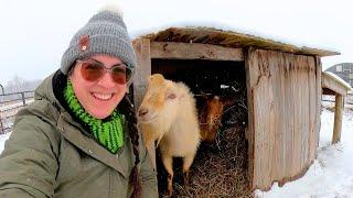 A Little Baking, Preserving & Breaking ICE! (We got MORE Snow!) | Farm Life VLOG