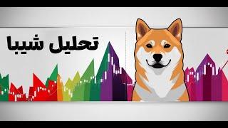 تحلیل ارز شیبا - سود ۱۹۰ درصدی؟ - SHIBA