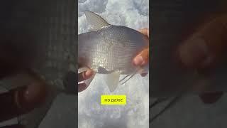 Рыбалка в феврале