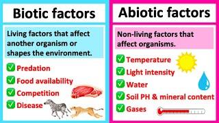 BIOTIC vs ABIOTIC | What's the difference? | Learn with examples