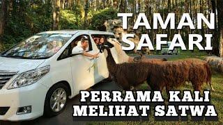 Pertama Kali Ke Taman Safari Indonesia, Waw Luar Biasa Satwa Disini.