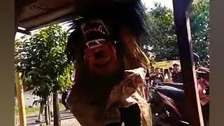 Bikin ngakak, barongan kejedot genteng 