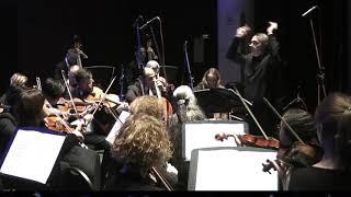 Martinu Sonata da camera Moskva Orchestra Musica viva